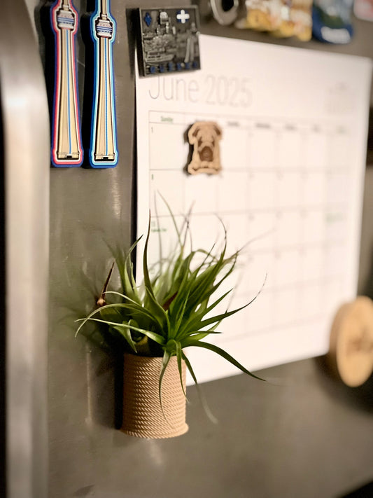 Jute Rope Fridge Magnet Air Plant Holder
